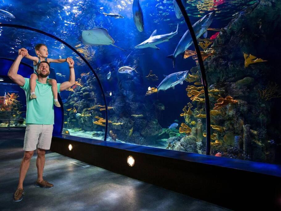 The Q Loft Galvestonヴィラ エクステリア 写真